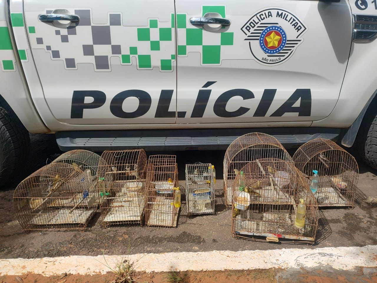 Idoso é multado em R$ 13,5 mil e responderá criminalmente por manter 27 aves silvestres em cativeiro, em Pacaembu