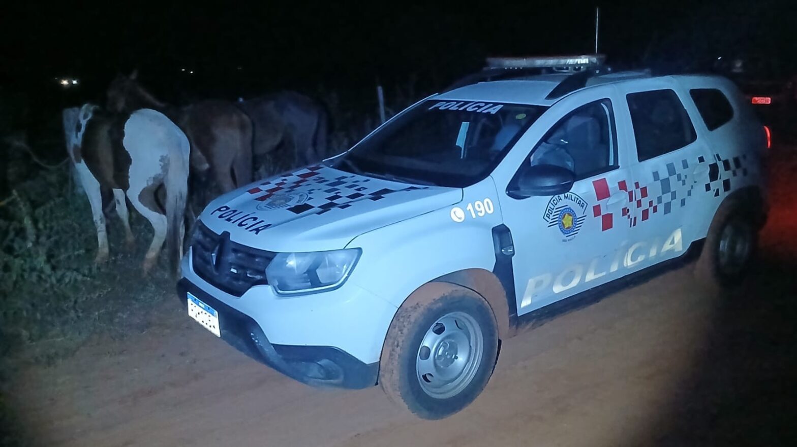 Ao tentar recuperar cavalos recolhidos pelo Centro de Zoonoses, homens são presos por dano ao patrimônio público em Presidente Epitácio | Presidente Prudente e Região