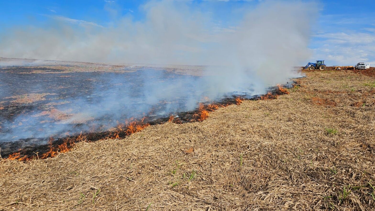 Arrendatário de fazenda leva multa de R$ 77 mil após queimada atingir vegetação em área de 25 hectares, em Presidente Epitácio | Presidente Prudente e Região