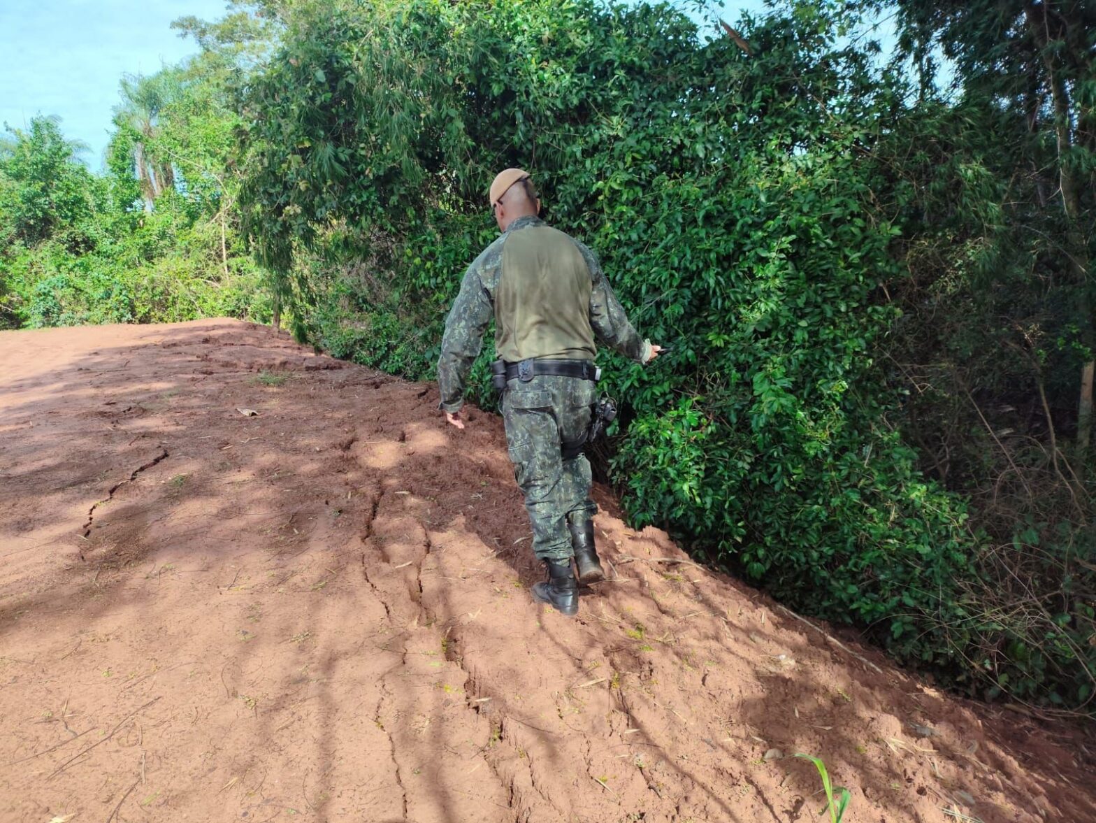 Homem é multado em mais de R$ 4,4 mil por degradar Área de Preservação Permanente às margens do Rio Paraná, em Rosana