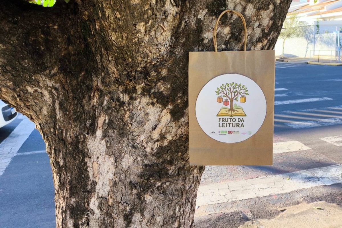 Projeto ‘Fruto da Leitura’ espalha sacolas personalizadas com livros em árvores, em Dracena | Presidente Prudente e Região