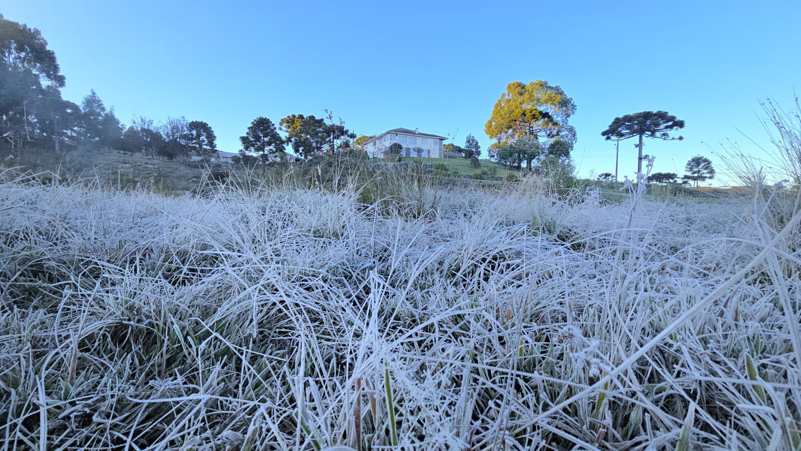 Climatologista prevê acumulado de chuvas 10% acima da média histórica durante o inverno de 2025 na região de Presidente Prudente | Presidente Prudente e Região