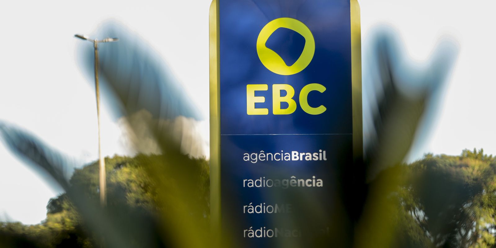EBC instala comitês de participação social nesta quarta-feira