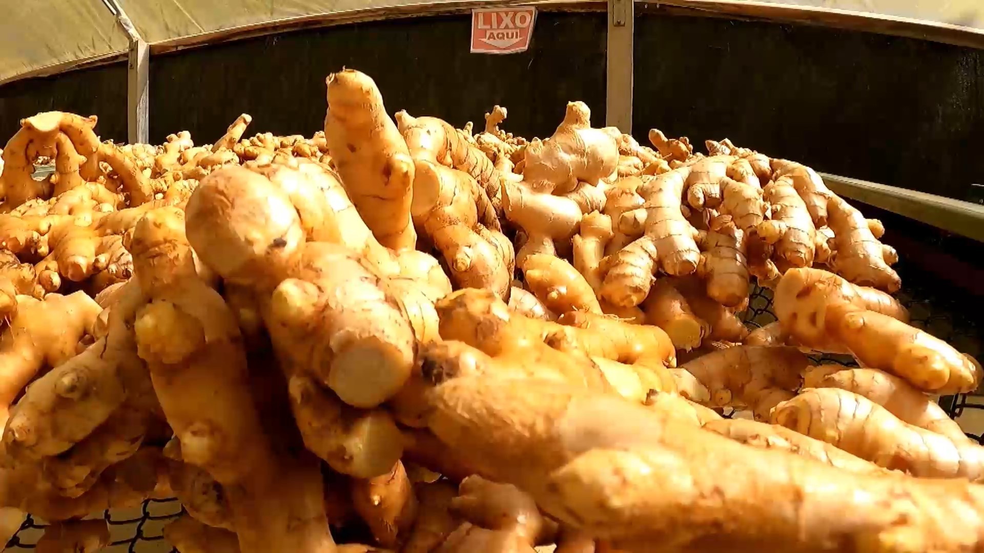 Fundação Procon-SP constata diferenças de preços de quase 130% em produtos de festas juninas em Presidente Prudente | Presidente Prudente e Região