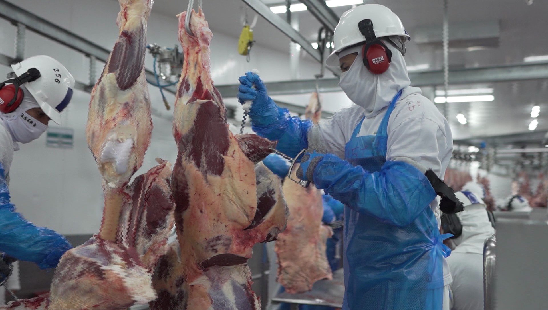 Programa abre oportunidade para organização de Cadeias Produtivas Locais na região de Pres. Prudente | Presidente Prudente e Região