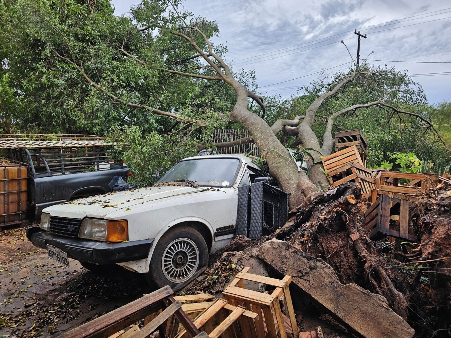Temporal causa estragos em Presidente Prudente; veja FOTOS