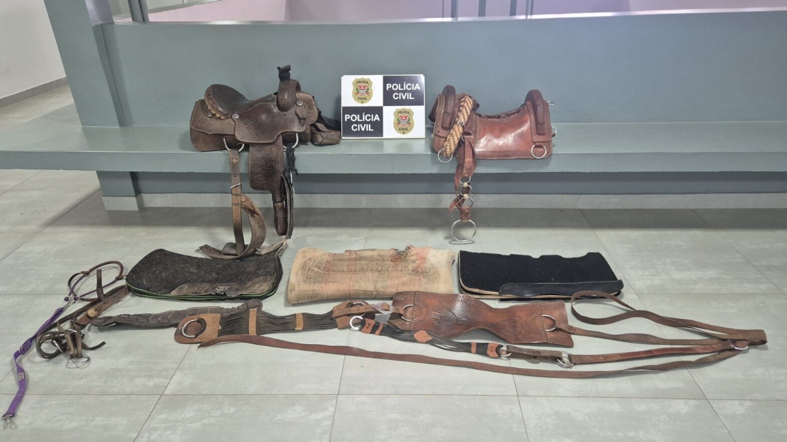 Após anúncios em redes sociais, investigações encontram em Pirapozinho itens de montaria furtados de fazenda no Paraná