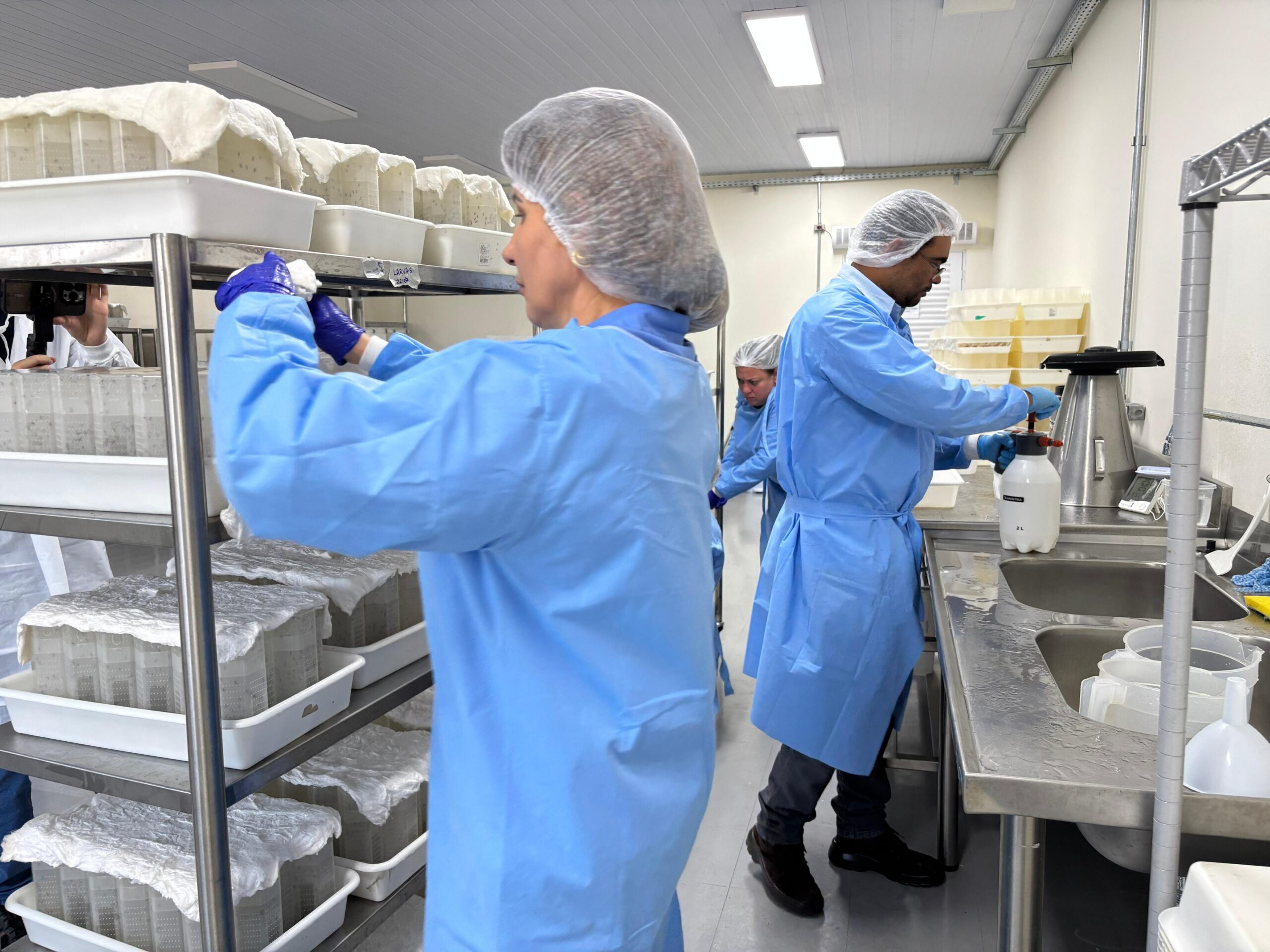 Biofábrica que introduz bactéria natural em ovos do Aedes aegypti para bloquear transmissão de arboviroses é inaugurada em Presidente Prudente