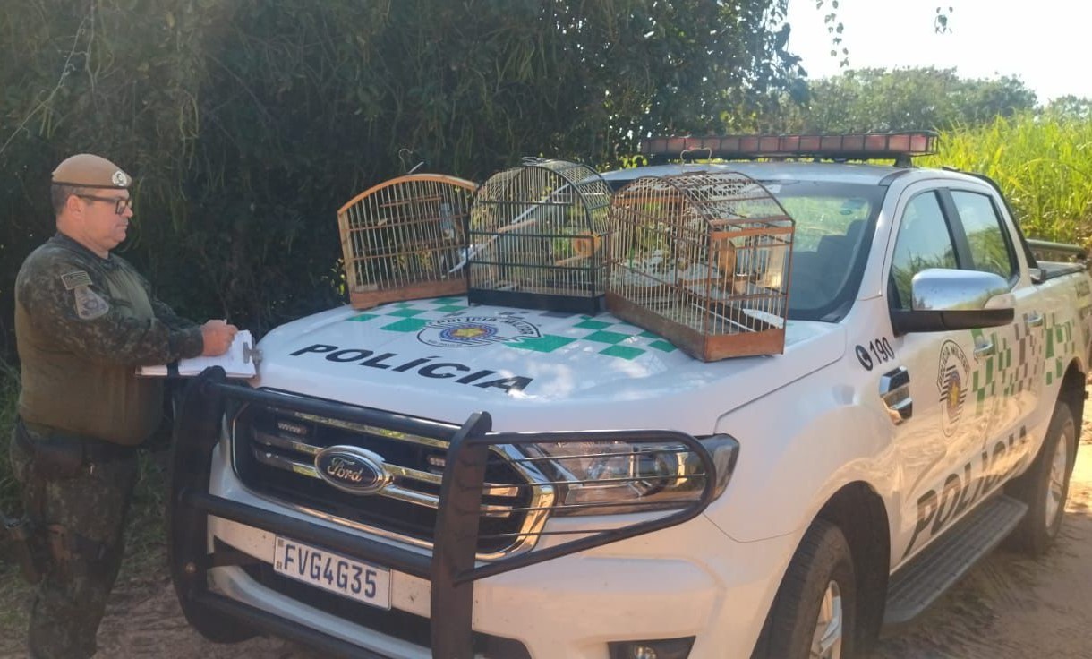 Homem é multado em R$ 2,5 mil por manter aves silvestres em cativeiro no Jardim Marajá, em Pacaembu | Presidente Prudente e Região