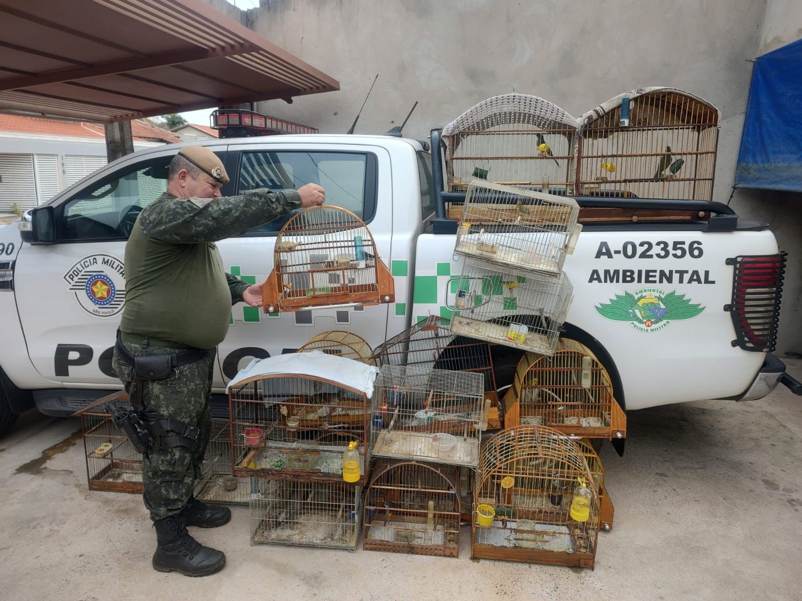 Idoso é multado em R$ 9,5 mil por manter 19 aves silvestres em cativeiro, em Lucélia | Presidente Prudente e Região