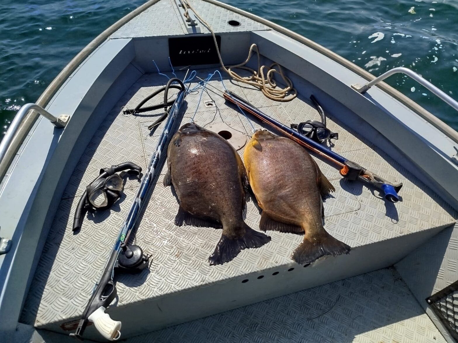 Homens flagrados em pesca de mergulho recebem multas de R$ 2,8 mil e ainda responderão por crime ambiental no Rio Paraná, em Panorama