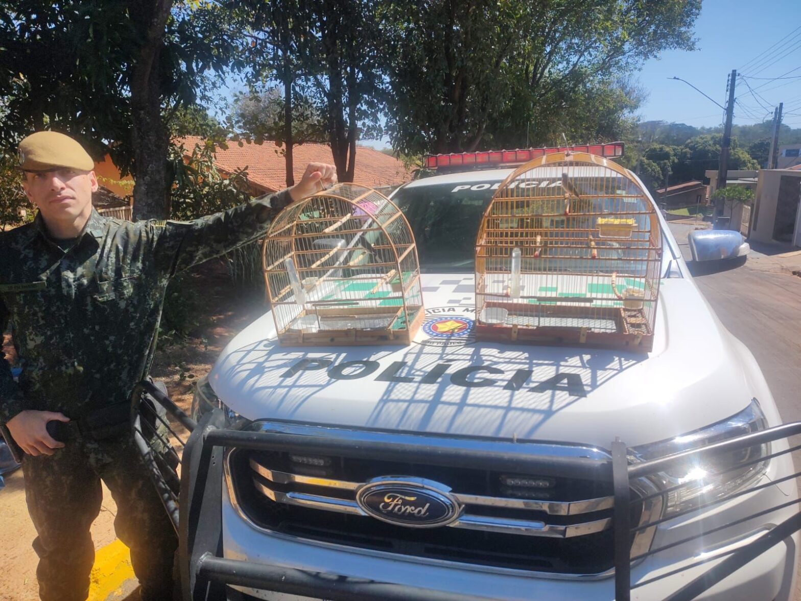 Idoso é multado em R$ 1 mil após manter aves silvestres em cativeiro, em Adamantina