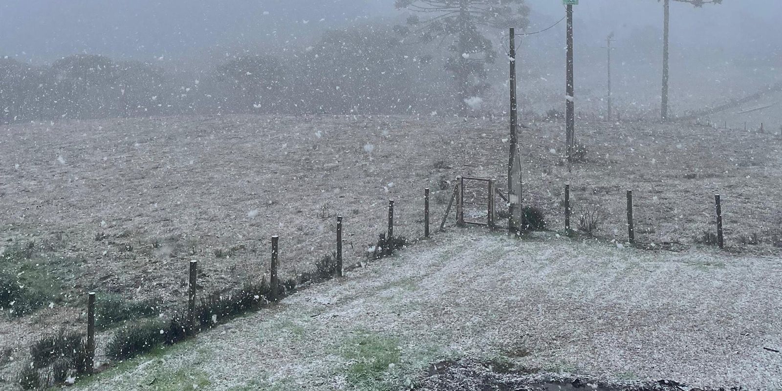 Rio Grande do Sul registra neve em algumas localidades