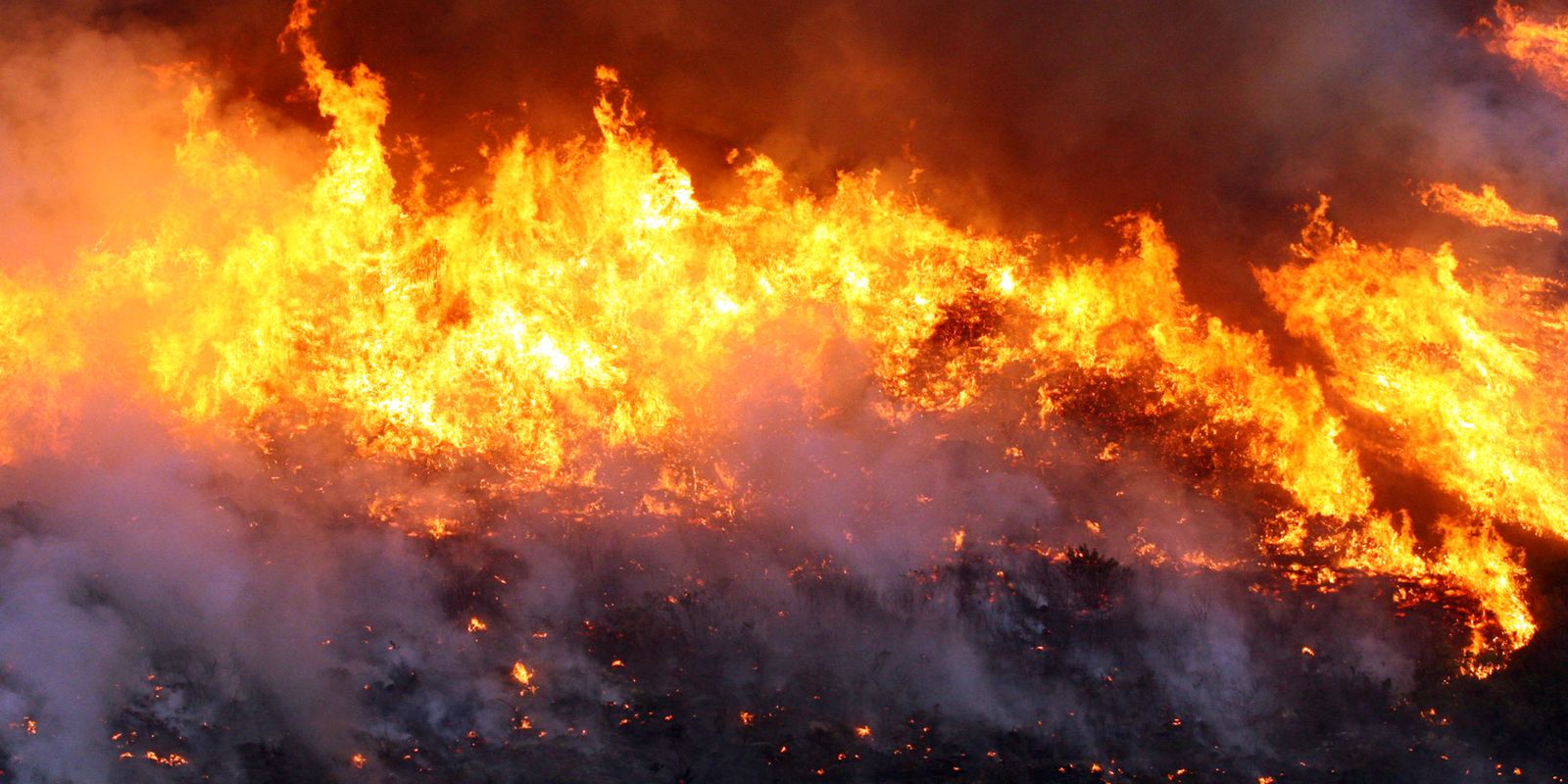 Brigadistas combatem incêndio em Cavalcante, Goiás