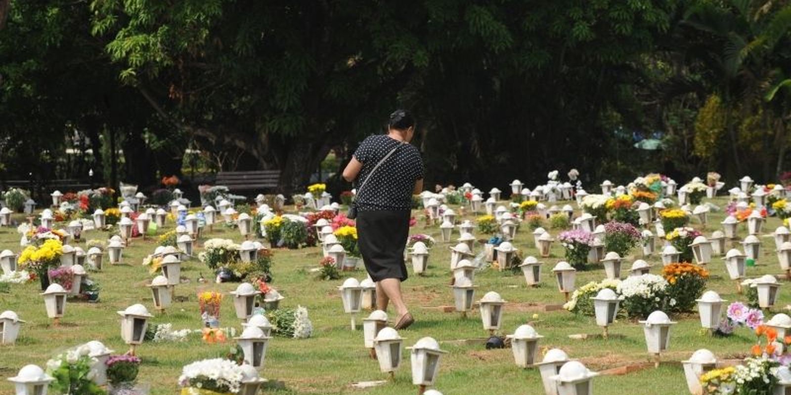 Cães e gatos podem ser sepultados em jazigos familiares em São Paulo