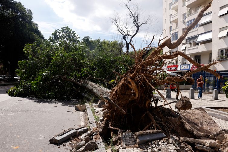 Rio de Janeiro (RJ), 30/07/2026 - Estragos provocados pelos fortes ventos que atingiram a cidade  na tarde desta quarta-feira (30).  Foto: Tânia Rêgo/Agência Brasil